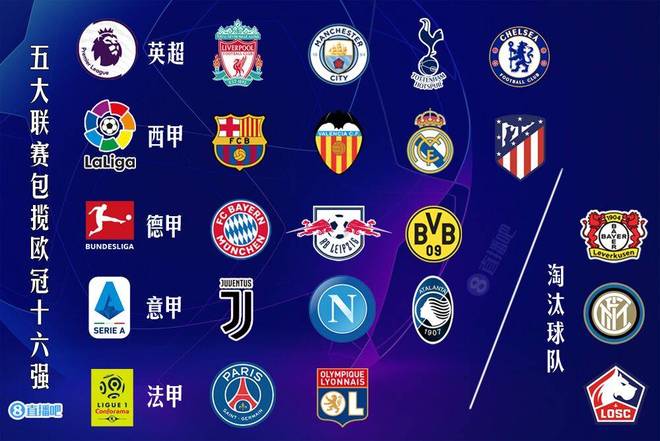 足以在复杂 足以在复杂